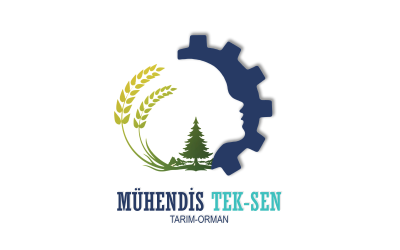 1. Olağanüstü Genel kurul Kararı 