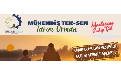 İlanlar