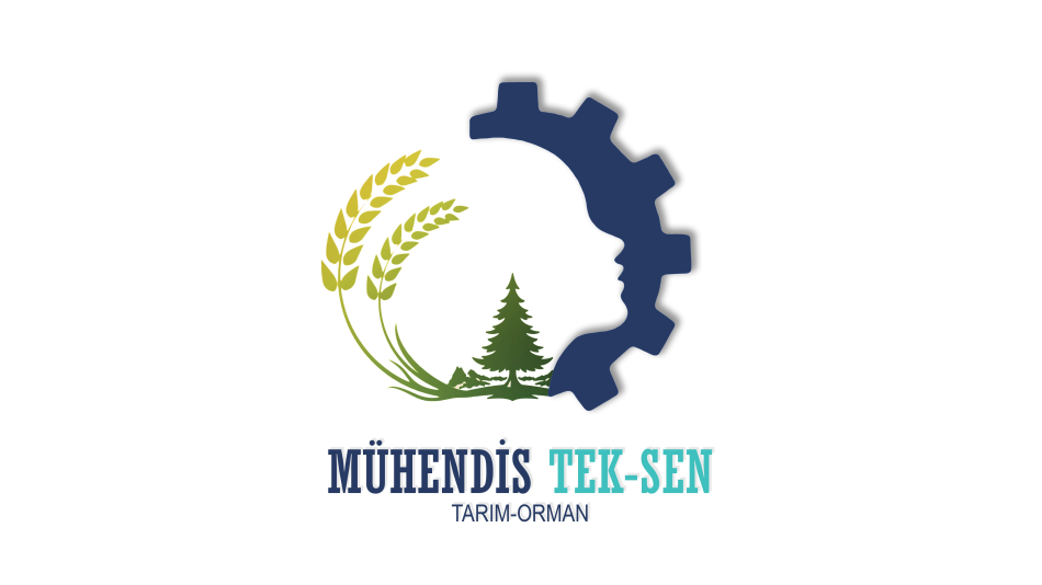 1. Olağanüstü Genel kurul Kararı